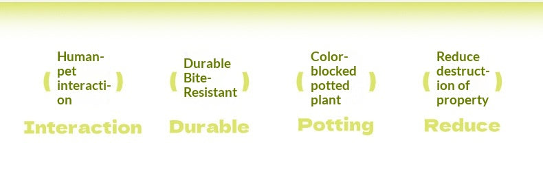 Pet Dog Toy Durable Chew Rope Knot Toy Sound-Making Boredom-Relief Artifact Creative Vegetable Dog Toy