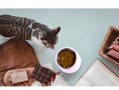 Tilt Dog Bowl Cat Bowl Pet Supplies Stainless Steel Double Layer Dog Bowl Cat Bowl Dog Cat Food Bowl Dog Pet Bowl