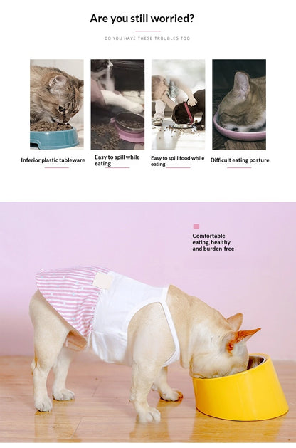 Tilt Dog Bowl Cat Bowl Pet Supplies Stainless Steel Double Layer Dog Bowl Cat Bowl Dog Cat Food Bowl Dog Pet Bowl