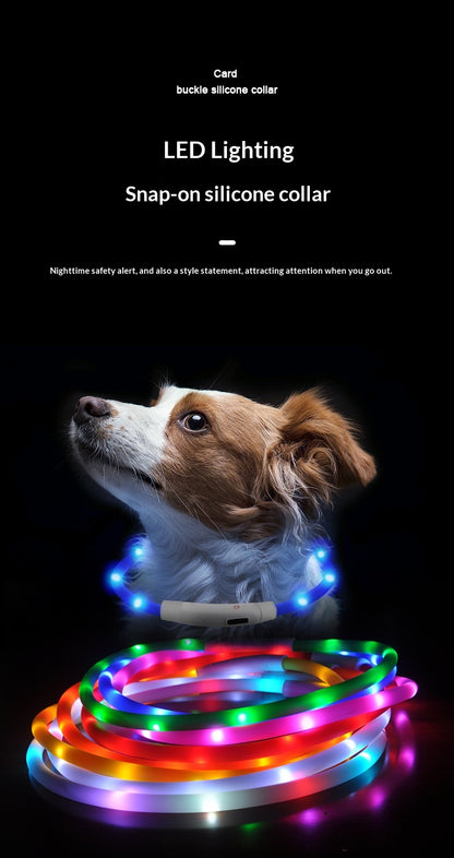 LED Light-Up Pet Collar Dog Leash Light-Up Collar USB Rechargeable Teddy Golden Retriever Dog Night Light Collar Flashing Neckband Pet Collar